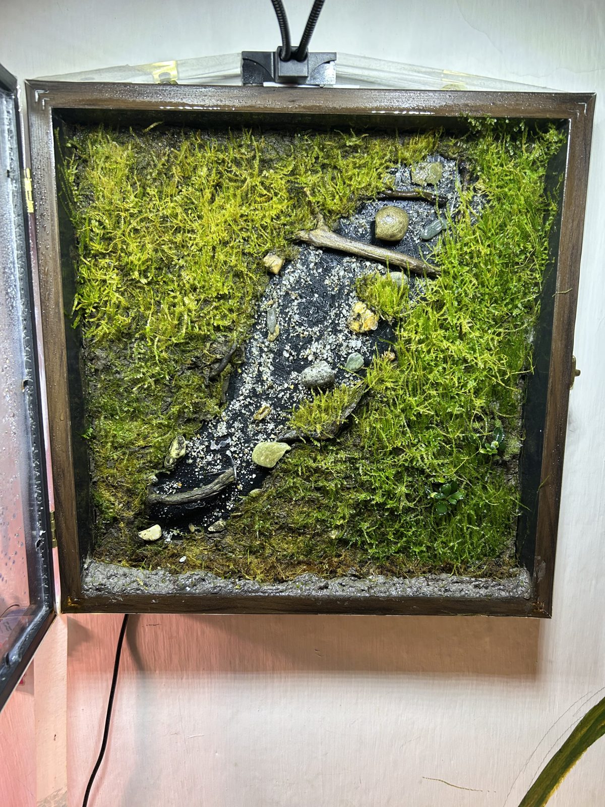 Moss Frame