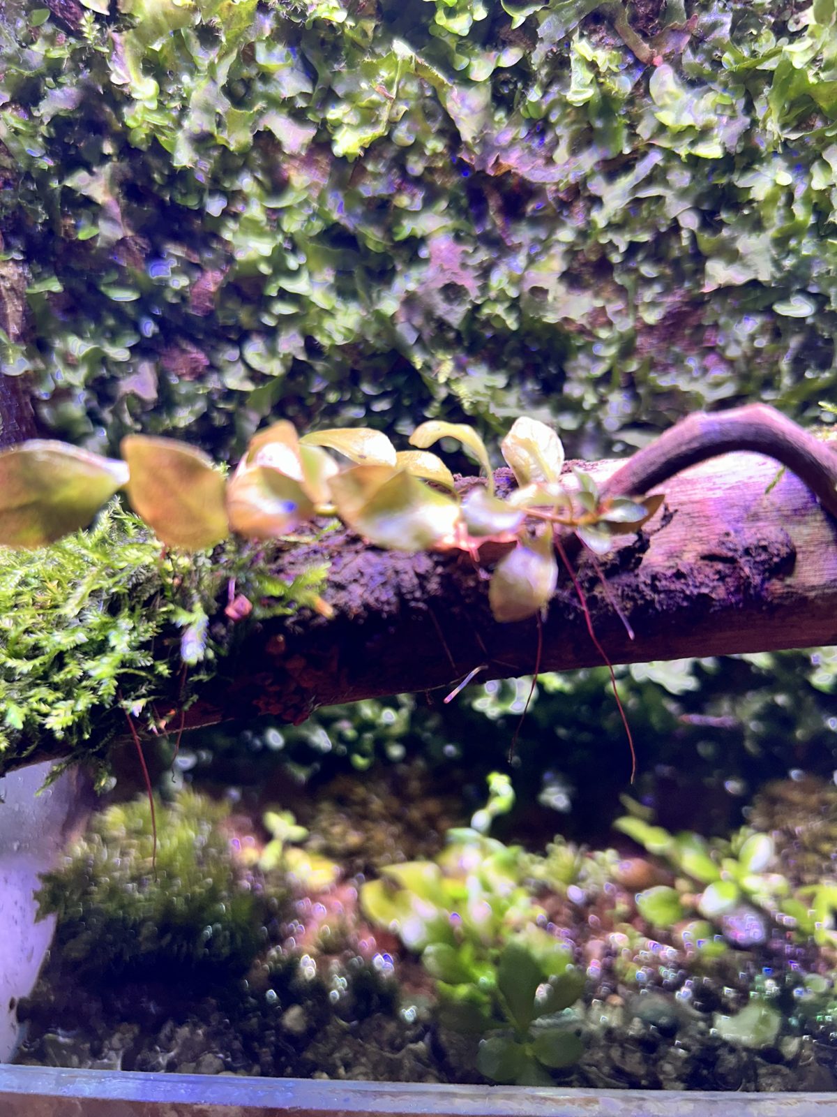 Full Scape Tech Brief